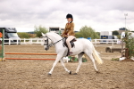 SBM_00324