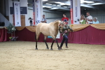 SBM_05067