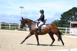 Class 4: Unaffiliated Prelim 3 2024 Section B portfolio