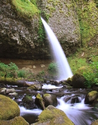 Oregon State portfolio