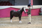 SBM_06554