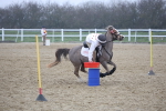 SBM_001140