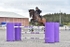 BPP_6118