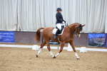 SBM_002376