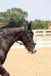 SBM_005639