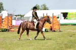 SBM_15581