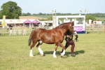 SBM_10354