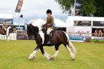 SBM_02630