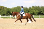 SBM_001993