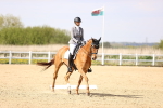 SBM_008412
