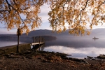 Autumn Landing