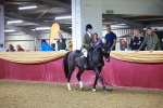 SBM_15698