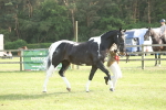 SBM_10524