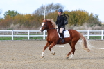 SBM_000984