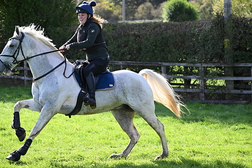 WJ6_2895