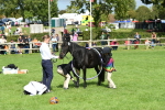 SBM_46965