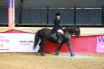 SBM_17652