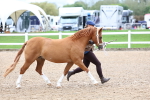 SBM_01221