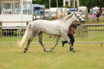 SBM_04184
