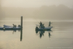Foggy Anglers