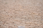 230708A-133630-03034