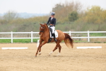SBM_006613