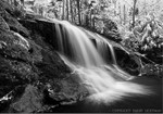 Winter Dusting - Thomson Falls