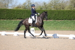 Class 3 - Novice 5 portfolio