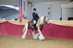SBM_24476