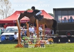 BPP_7312