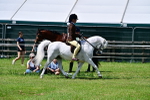 SBM_07756