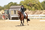 SBM_002566