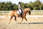 SBM_007715