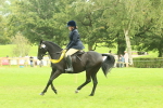 Ridden Pony Supreme Championship portfolio