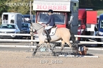 BPP_8468