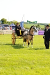 SBM_02743