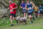 Dovedale-878