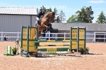 BPP_7067