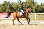 SBM_007631