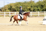 SBM_009927