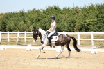 SBM_001608