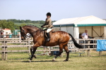 SBM_17726