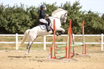 SBM_000353