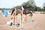 Cls 9 British Novice & 90cm Open portfolio