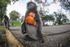Urban Monkeys Kuala Lumpur Malaysia
