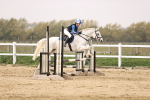 SBM_002647