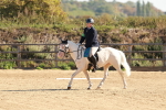 SBM_009304