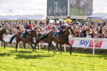 240824-Race 7-Sir Busker-9251