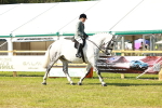 SBM_11749