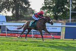 140826-Race 4-Raging Raj-1317